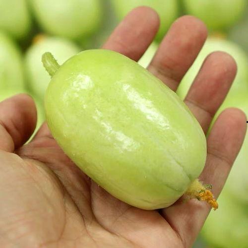 孕妇可吃小瓜,孕妇可食小瓜，助力母婴健康