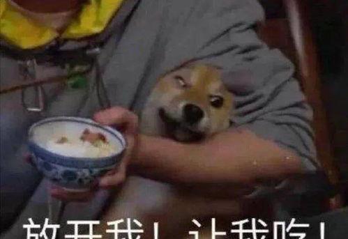 带你吃大瓜暗号,带你揭秘娱乐圈那些不为人知的“大瓜”故事