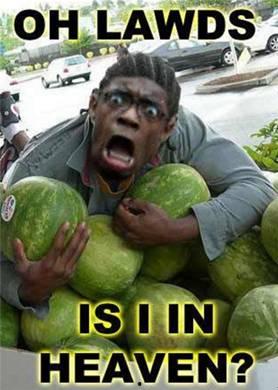 罗伯特吃瓜群众,吃瓜群众的智慧与生活哲学