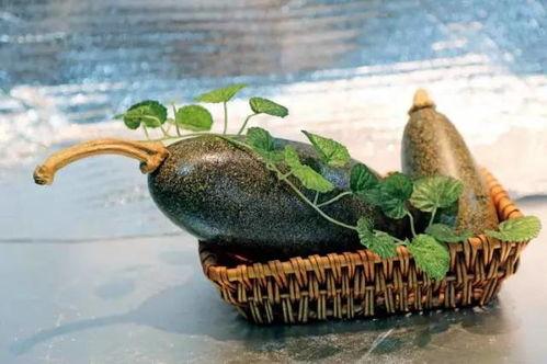 石头吃角瓜,一场奇妙的自然之旅