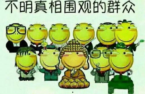 狂飙吃瓜群众评论,揭秘热门事件背后的真相与笑料