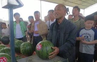 塔城吃瓜群众,揭秘当地生活百态