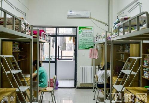 濮阳医学专科吃瓜,揭秘校园里的“吃瓜”趣事