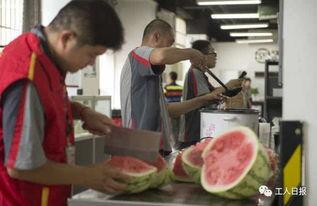 吃瓜快递员,揭秘快递行业的酸甜苦辣