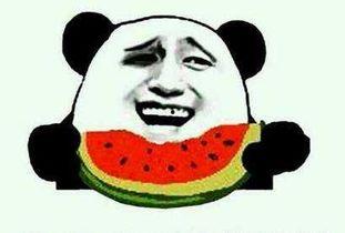 吃瓜吃货,揭秘美食背后的趣味故事