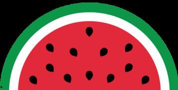 博爱县吃瓜,瓜果飘香，品味人间烟火