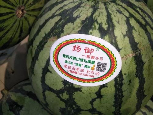 夜夜吃瓜,揭秘娱乐圈幕后真相