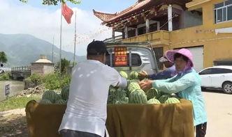 苍南吃瓜直播,揭秘当地美食与民俗风情