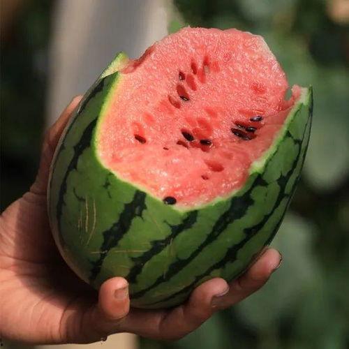 吃瓜详细,吃瓜群众眼中的明星幕后故事