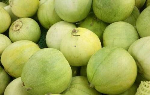 吃田瓜利尿吗,天然利尿佳品，健康生活新选择