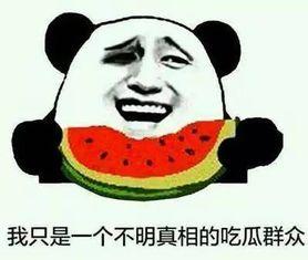 吃瓜你就不能买个瓜吗,揭秘如何选购新鲜瓜果