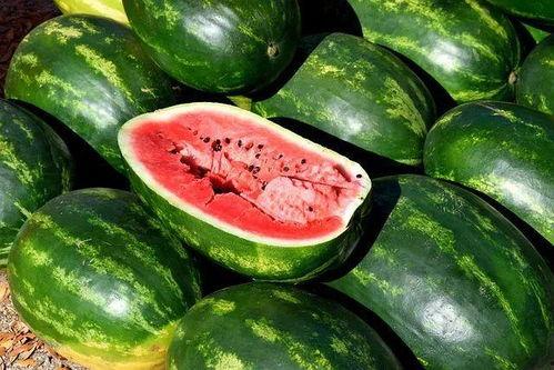 亲近自然吃瓜视频下载,跟随吃瓜视频探索田园生活